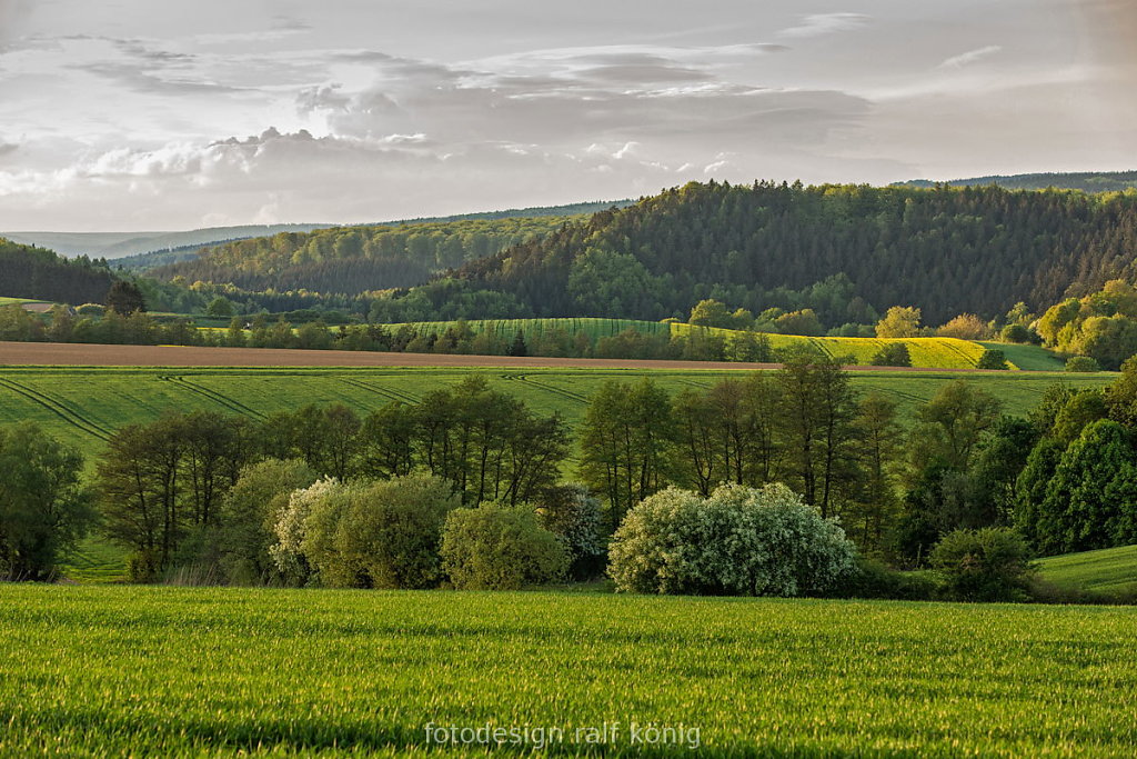 rk-fotodesign-1305-7741-Auschnippetal-Eberhausen.JPG