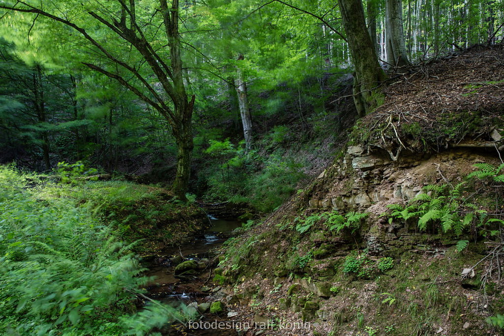 rk-fotodesign-1509-0012.JPG